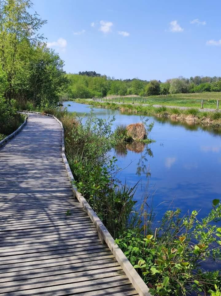 Vila Le Grand Chene Condette Exteriér fotografie